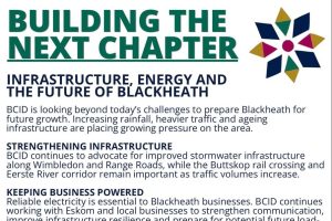 Building the Next Chapter – BCID annual review 2025/26
